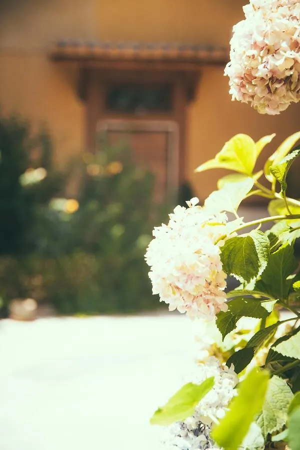 Lighthouse Suites Trastevere Rzym Pensjonat
