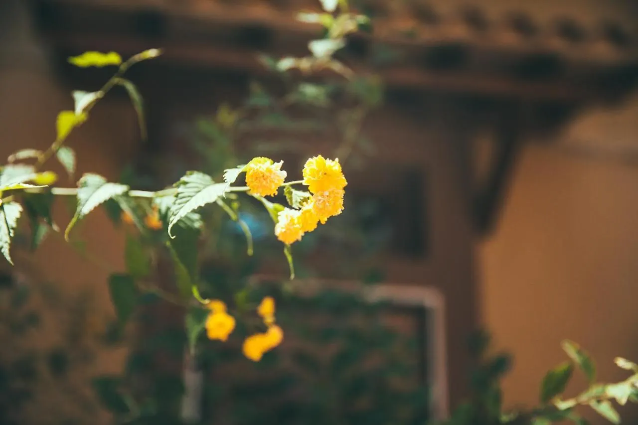 Lighthouse Suites Trastevere Rome Guest house